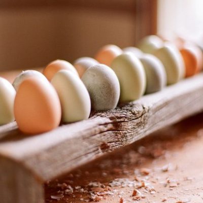 To Refrigerate a Farm Fresh Egg or Not?