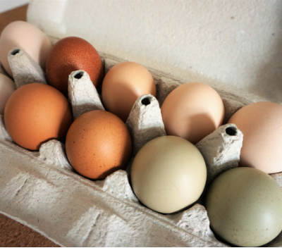 Should I Wash My Farm Fresh Eggs?